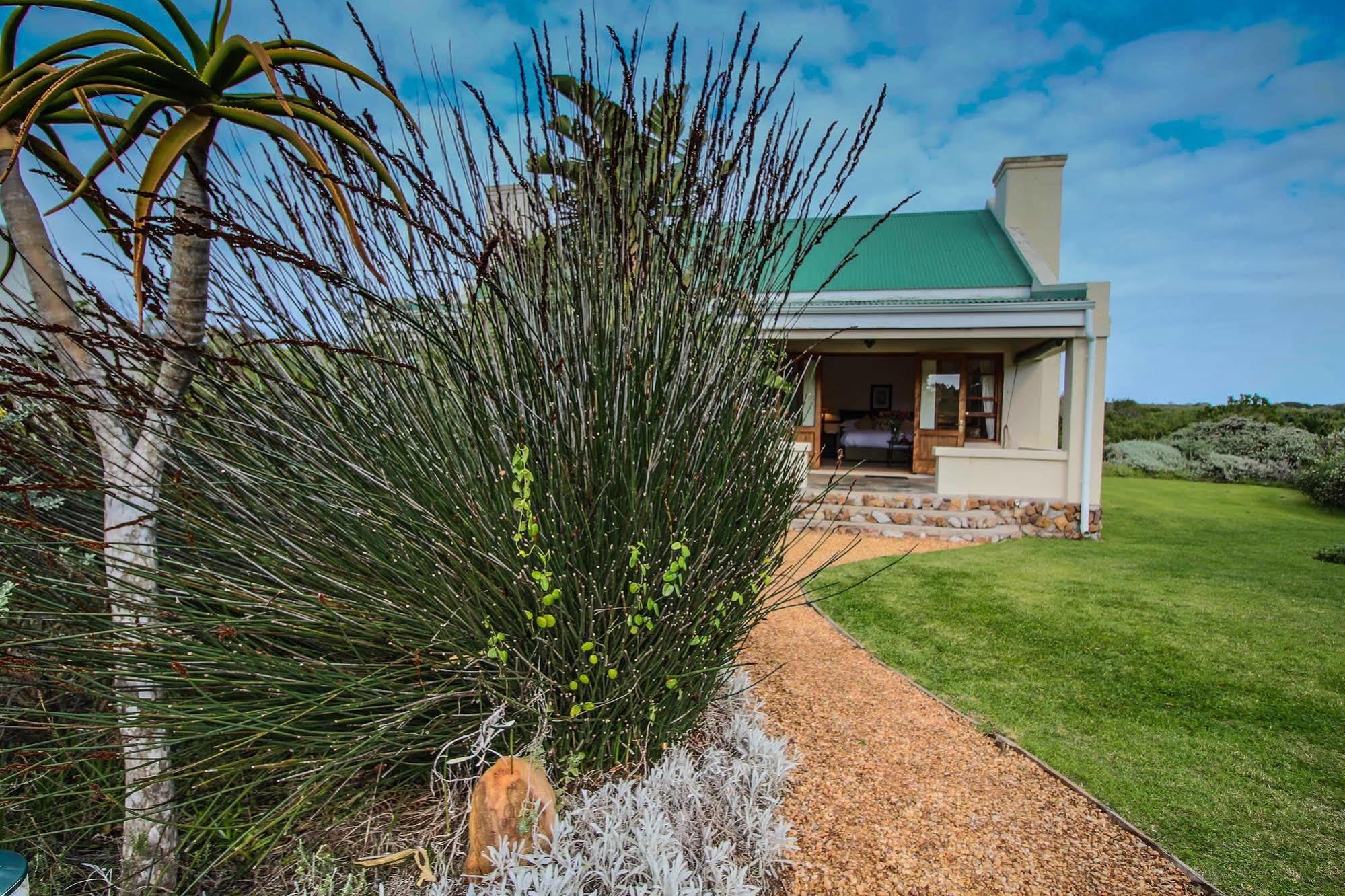 Dune Ridge Country House St Francis Bay Exterior photo